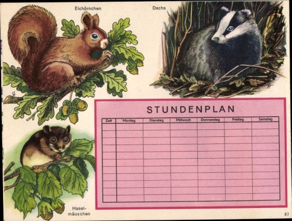 Timetable animals, squirrels, badgers, dormouse around 1960