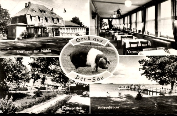 Ak Dersau im Plöner Land, Gasthaus und Pension Zur Mühle, Veranda, Kaffeegarten