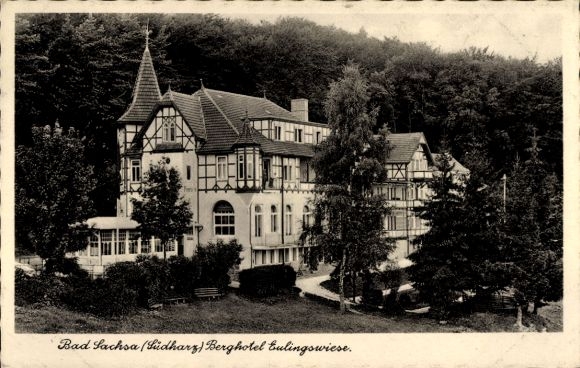 KP Bad Sachsa w Dolnej Saksonii, Berghotel Eulingswiese otoczony drzewami