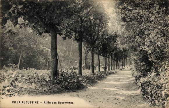 Ak Nogent sur Marne Val de Marne, Villa Augustine, Allee des Sycomores