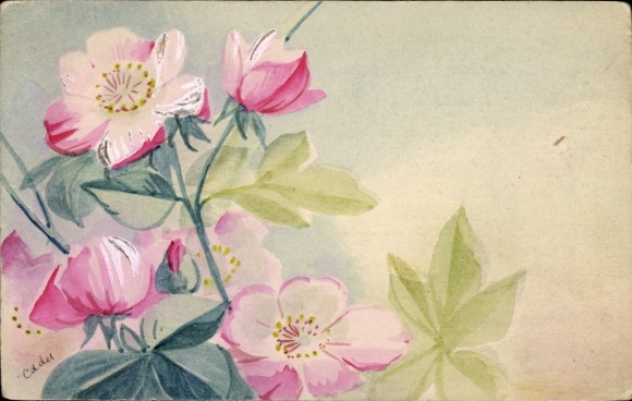 Hand painted Postcard pink flowers, flowers