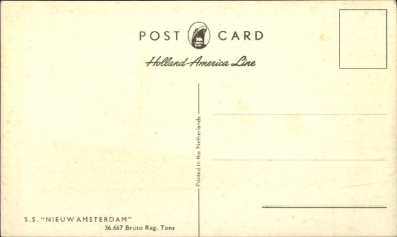 Postcard HAL steamer Nieuw Amsterdam, Holland-America Line