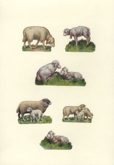 6 Oblaten Schafe und Lämmer, ca. 5 x 9,5 cm bis 3,5 x 6 cm