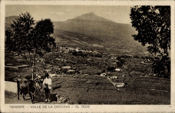 Postcard Orotava Tenerife Islas Canarias España, Panorama, El Teide