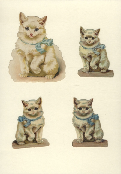 4 wafle białe koty z jasnoniebieską kokardką o wymiarach ok. 12 x 10 cm i 8,5 x 6,5 cm