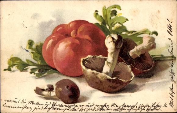 Artysta KP Martwa natura, Pomidor, Grzyby