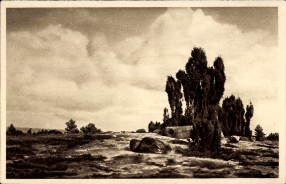 Ak Wilsede, Lüneburger Heide, WHW Das schöne Deutschland Bild 5