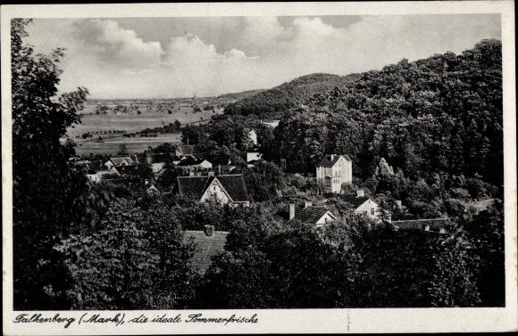 Ak Falkenberg in der Mark, Panorama