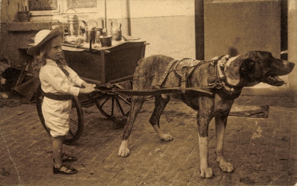 Ak Milchmädchen, Hundekarren, Arbeitshund, Kind