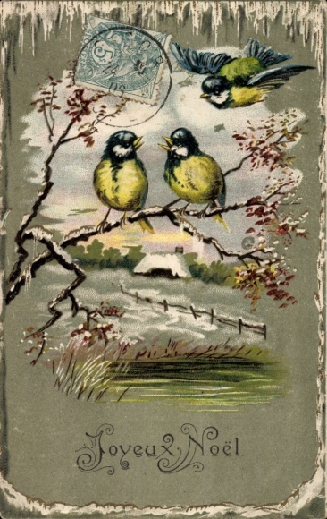 Embossed PC Congratulations Christmas, birds on a branch, tits