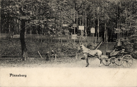 Ak Pinneberg in Holstein, Kutsche, Park