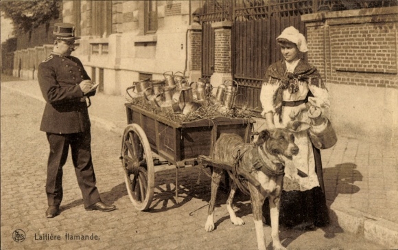 Ak Laitiere flamande, Milchmädchen mit Hundekarren, Polizist
