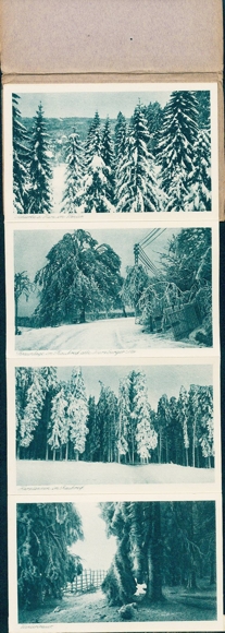 6 oude ansichtkaarten, Harz in de winter, diverse aanzichten