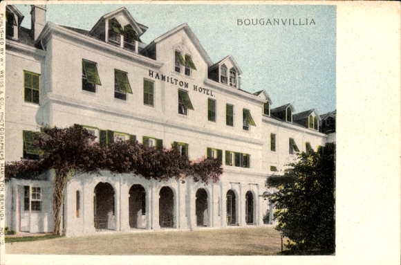 Postcard Hamilton Bermuda, Bougainvillia, Hamilton Hotel