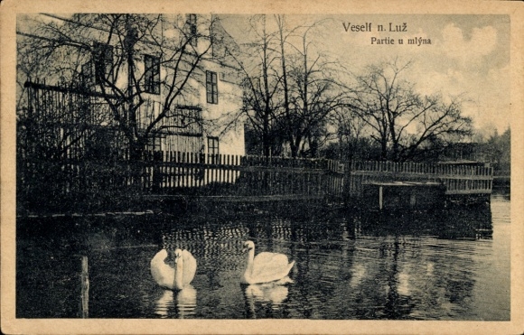 Postcard Veselí nad Lužnicí Wesseli on the Lainsitz South Bohemia, water park, swans