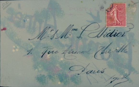 Celluloid PC Happy New Year, flowers, swallow