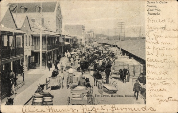 Postcard Hamilton Bermuda, Scene in the Onion Season