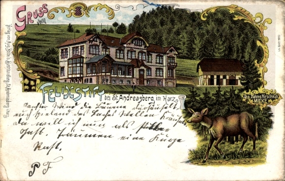 Litho St. Andreasberg Braunlage im Harz, Hotel, Hirschkuh