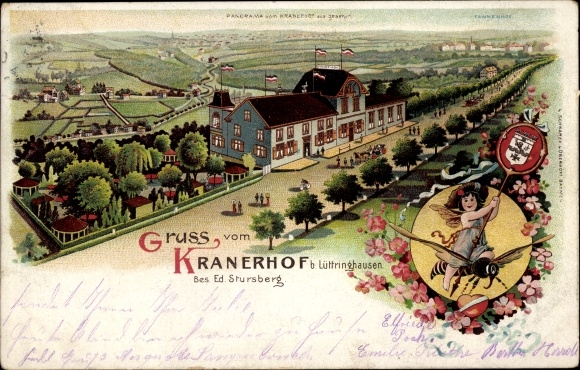 Chromo-Litho Lüttringhausen Remscheid in the Bergisches Land, Restaurant Kranerhof, elf on a bee