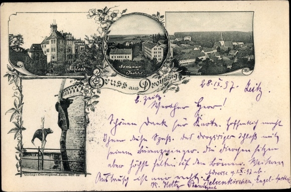 Ak Droyßig im Burgenlandkreis, Schloss, Seminar, Blick auf den Ort, Bären-Gehege