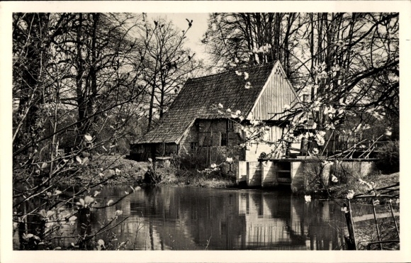 Ak Lage in Lippe, Mühle