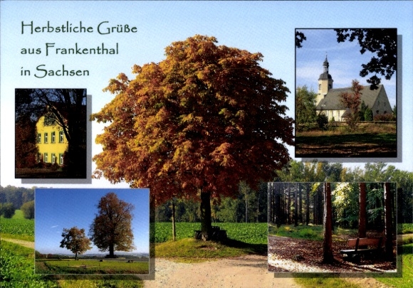 Postcard Frankenthal in Lusatia Saxony, partial views