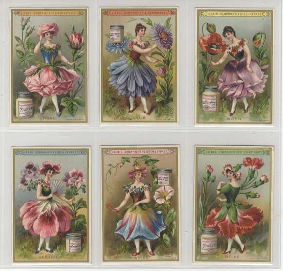Liebig picture series A 146 S 268 Flower Girl III, 1890