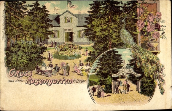 Chromo-Litho Fritzlar in Hesse, inn Rosengarten, peacock