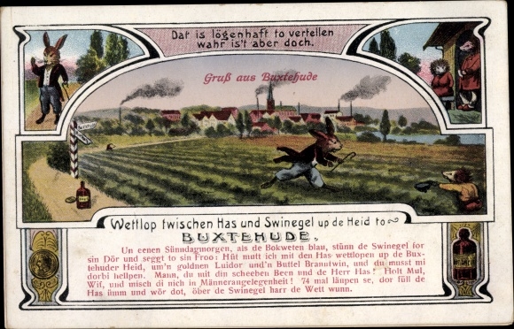 Postcard Buxtehude in Lower Saxony, race between hare and hedgehog, hare and hedgehog