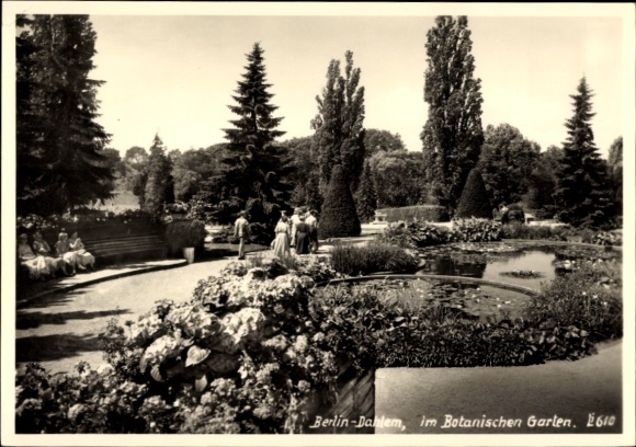 Photo Postcard Berlin Zehlendorf Dahlem, in the Botanical Garden