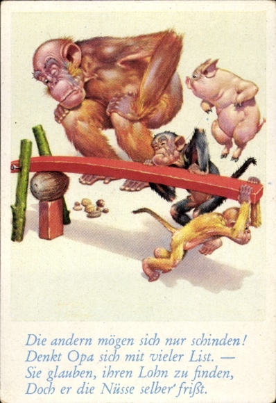Collector's picture funny pictures No. 76, orangutan, monkeys try to crack a coconut