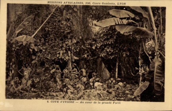 Ak Elfenbeinküste, Missions Africaines, Au coeur de la grande Forêt