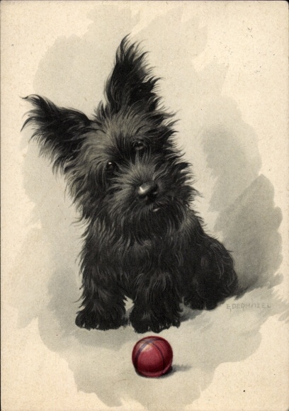 Artist Postcard Dermitzel, E., Yorkshire Terrier, Dark Fur, Play Ball