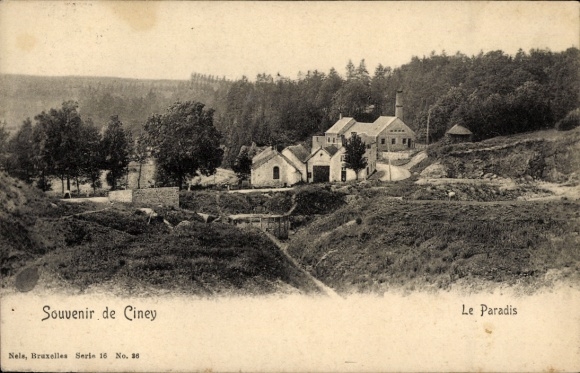 Ak Ciney Wallonien Namur, Souvenir de  Le Paradis, Landschaft mit Gebäuden
