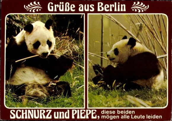 13 old PCs of various zoo animals, polar bears, pandas, foxes
