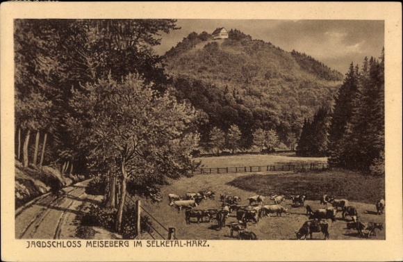 Ak Ballenstedt im Harz, Jagdschloss Meiseberg
