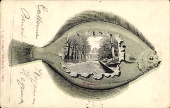 Passepartout Postcard Nijmegen-Gelderland, plaice, street section