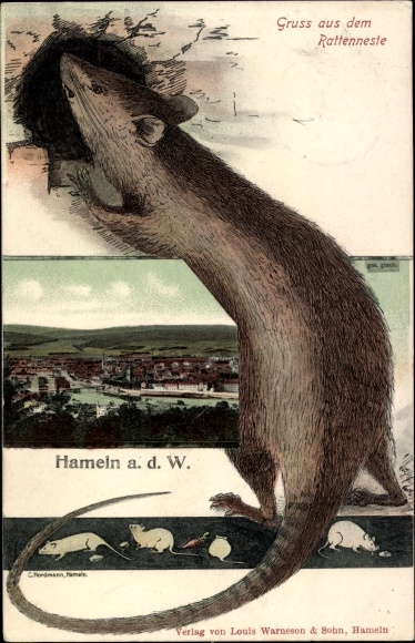 Künstler Ak Hameln, Gruß aus dem Rattenneste, Teilansicht