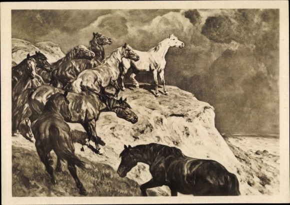 Artist PC Roloff, Alfred, HDK 527, in the freedom, wild horses, steep coast