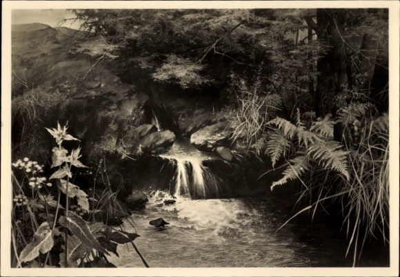 Artist Postcard Kriegel, Willy, The Source, HDK 397