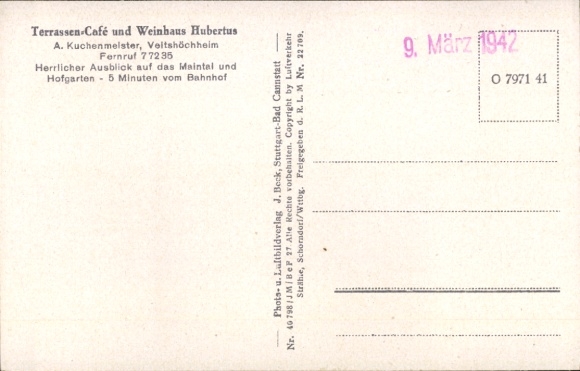 Ak Veitshöchheim in Unterfranken, Luftbild,  Würzburg, Main, Gärten, Terrassen-Café