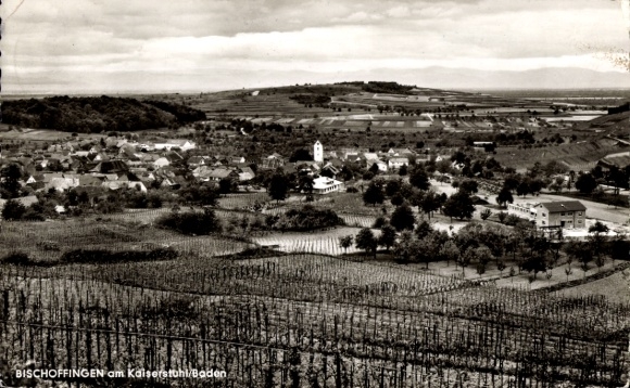 Postcard Bischoffingen Vogtsburg im Kaiserstuhl, Panorama