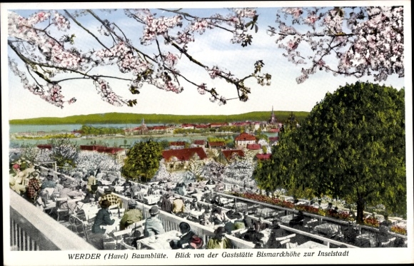 Ak Werder an der Havel, Panorama, Blick von der Gaststätte Bismarckhöhe