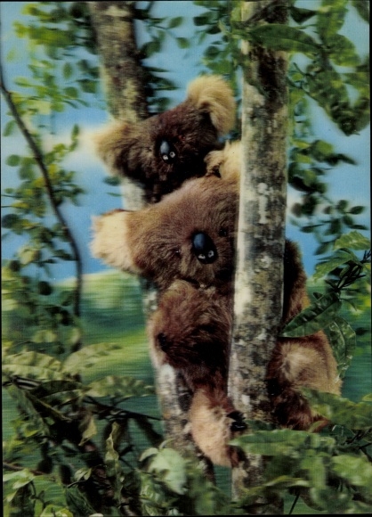 3-D Postcard Australia, koalas, eucalyptus, soft toys, teddy bears