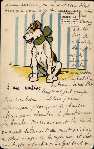 Artist Postcard Terrier with collar, I am waiting