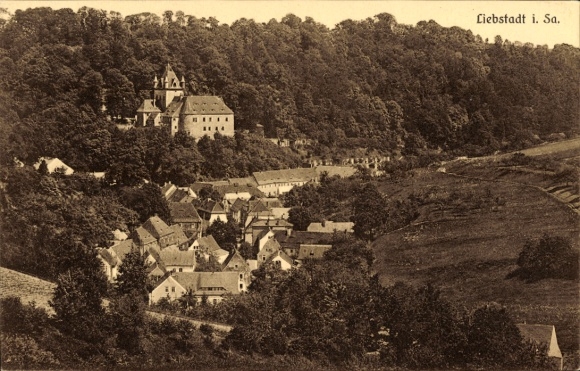 Postcard Liebstadt Erzgebirge Saxony, hill with castle, houses, green landscape