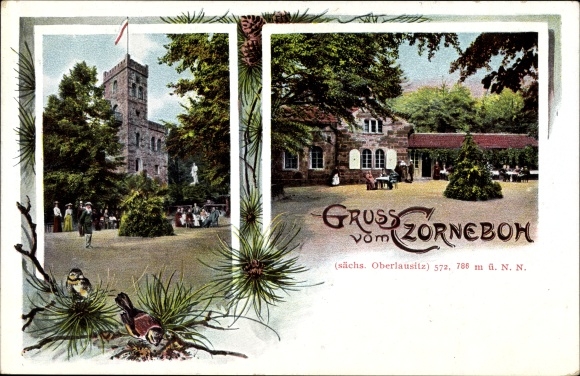 Postcard Cunewalde in the district of Bautzen, inn, owner Ernst Kalauch, observation tower, Czorneboh