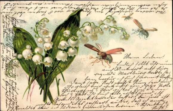 Chromo-Litho lily of the valley and cockchafer
