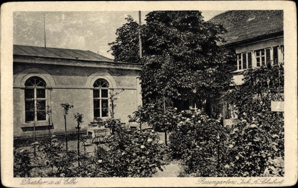 Ansichtkaart Diesbar Seußlitz Nünchritz aan de Elbe, rozentuin