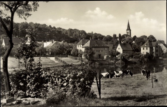 Postcard Friedrichsgrün Reinsdorf in Saxony, town view with church, cows